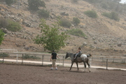 2010-09 Ramot
